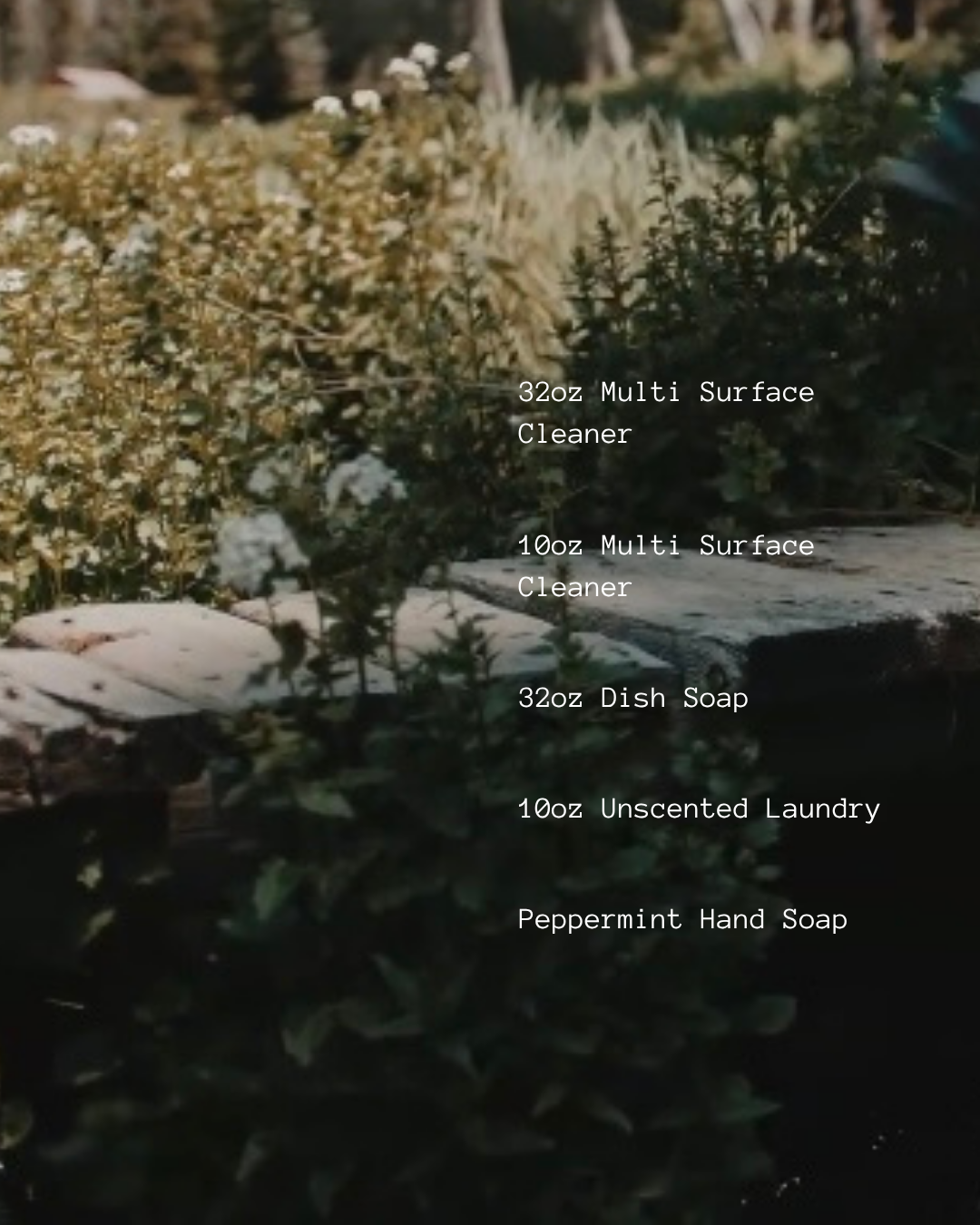 Steve’s Cleaners Starter Pack