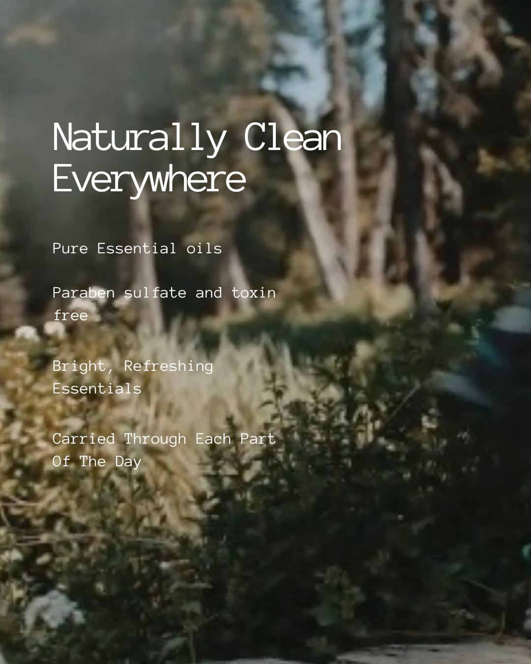 Steve’s Cleaners Starter Pack