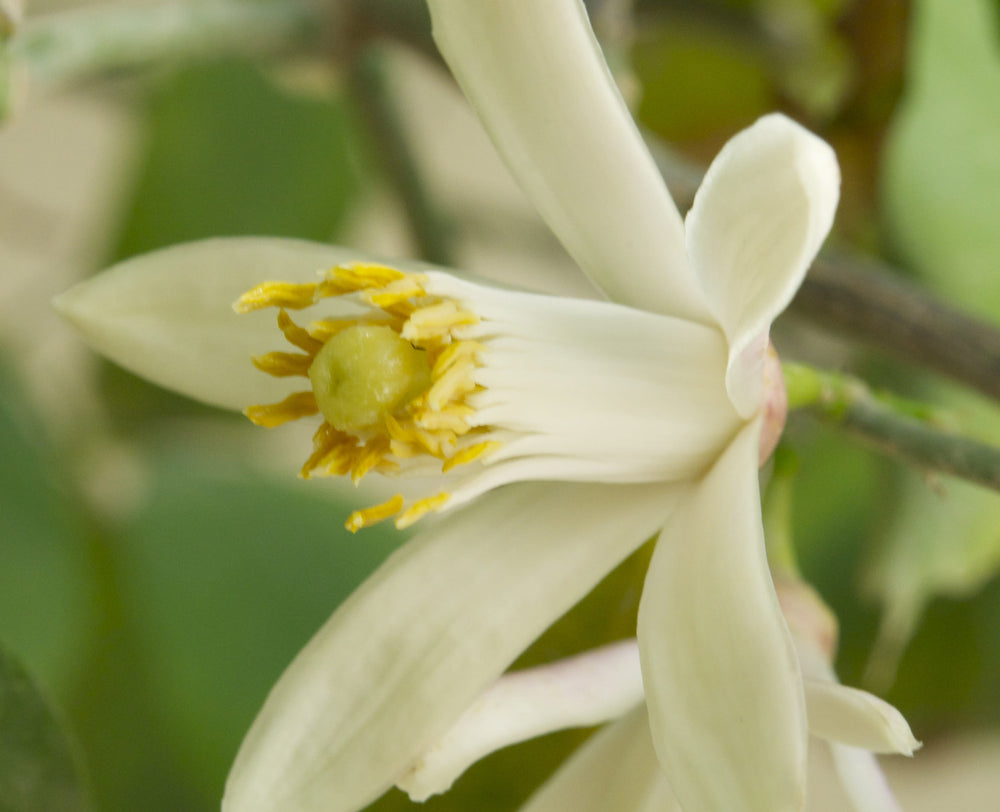 Best of 2025: Gifts with energy