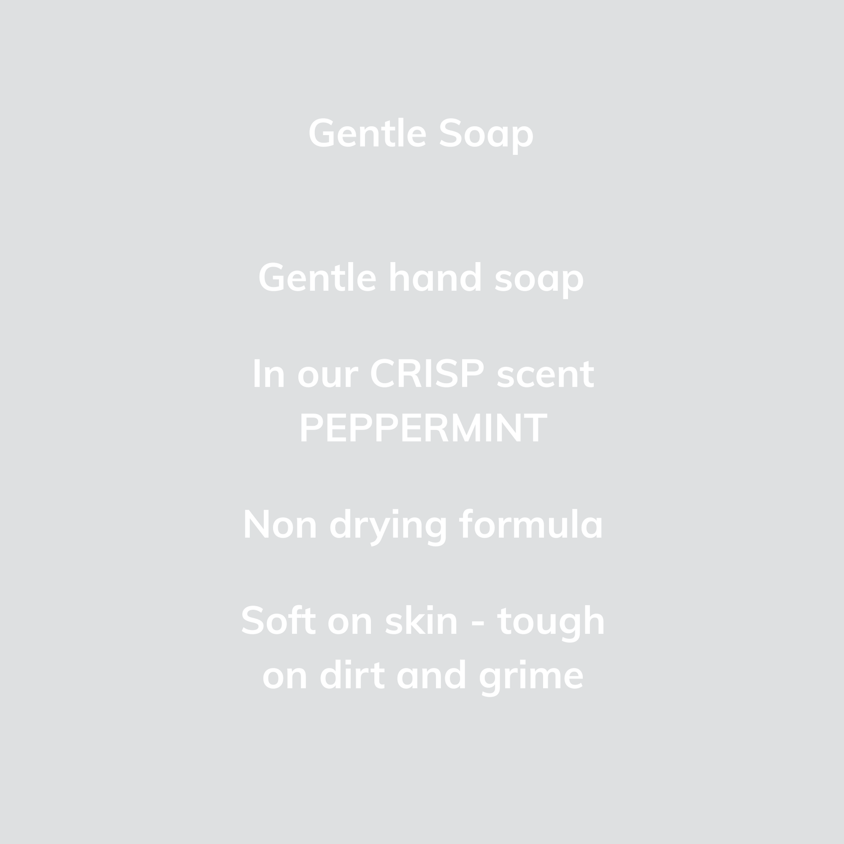 Seasonal Hand Soaps Bundle