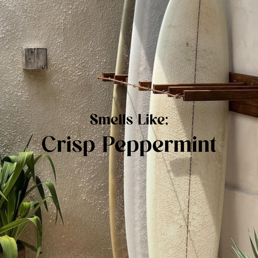 Everyday Eco Kit Peppermint
