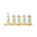 Everyday Lemon Bundle