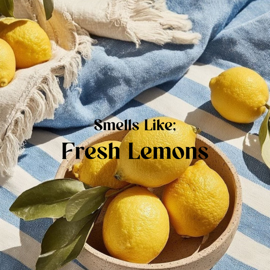 Everyday Eco Kit Lemon
