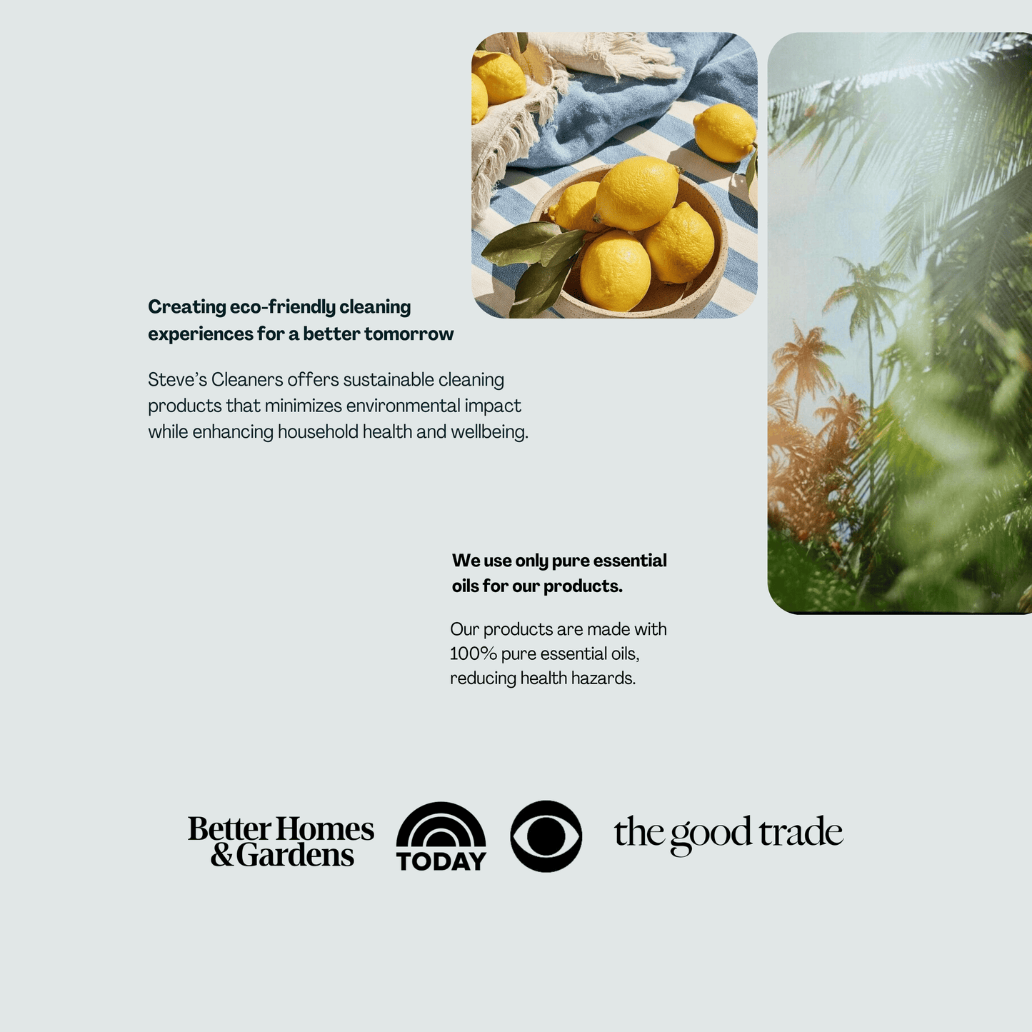 Lemon Multi-Use Spray