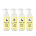 Steve's Cleaners Home Box