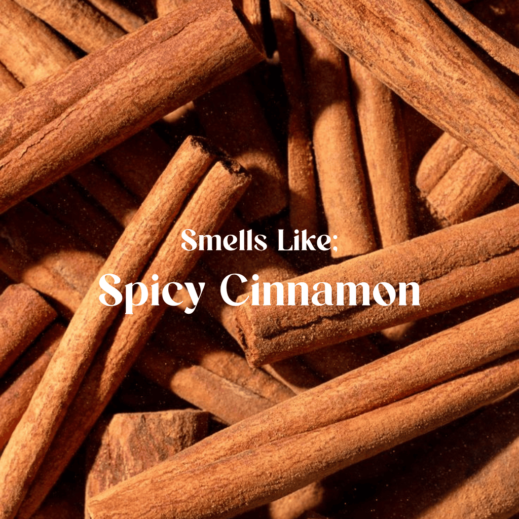 Everyday Hand Soap Cinnamon