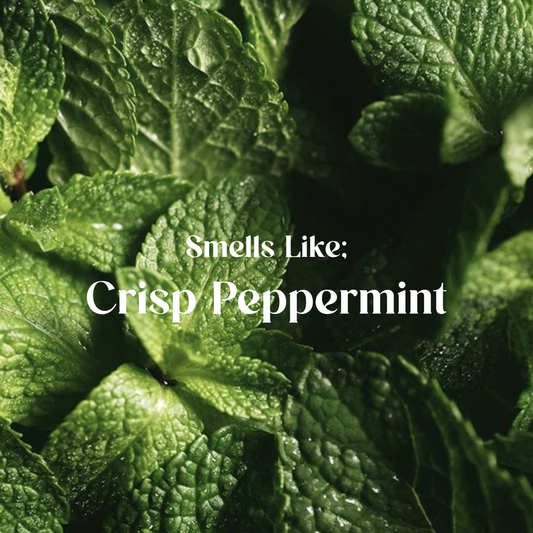 Everyday Eco Kit Peppermint