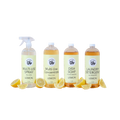 Everyday Starter Bundle